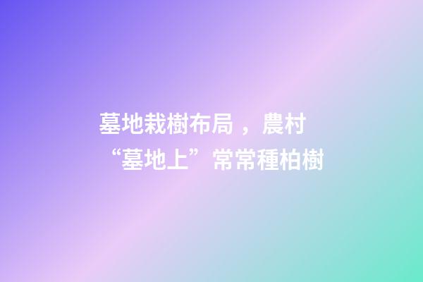 墓地栽樹布局，農村“墓地上”常常種柏樹-第1張-觀點-玄機派